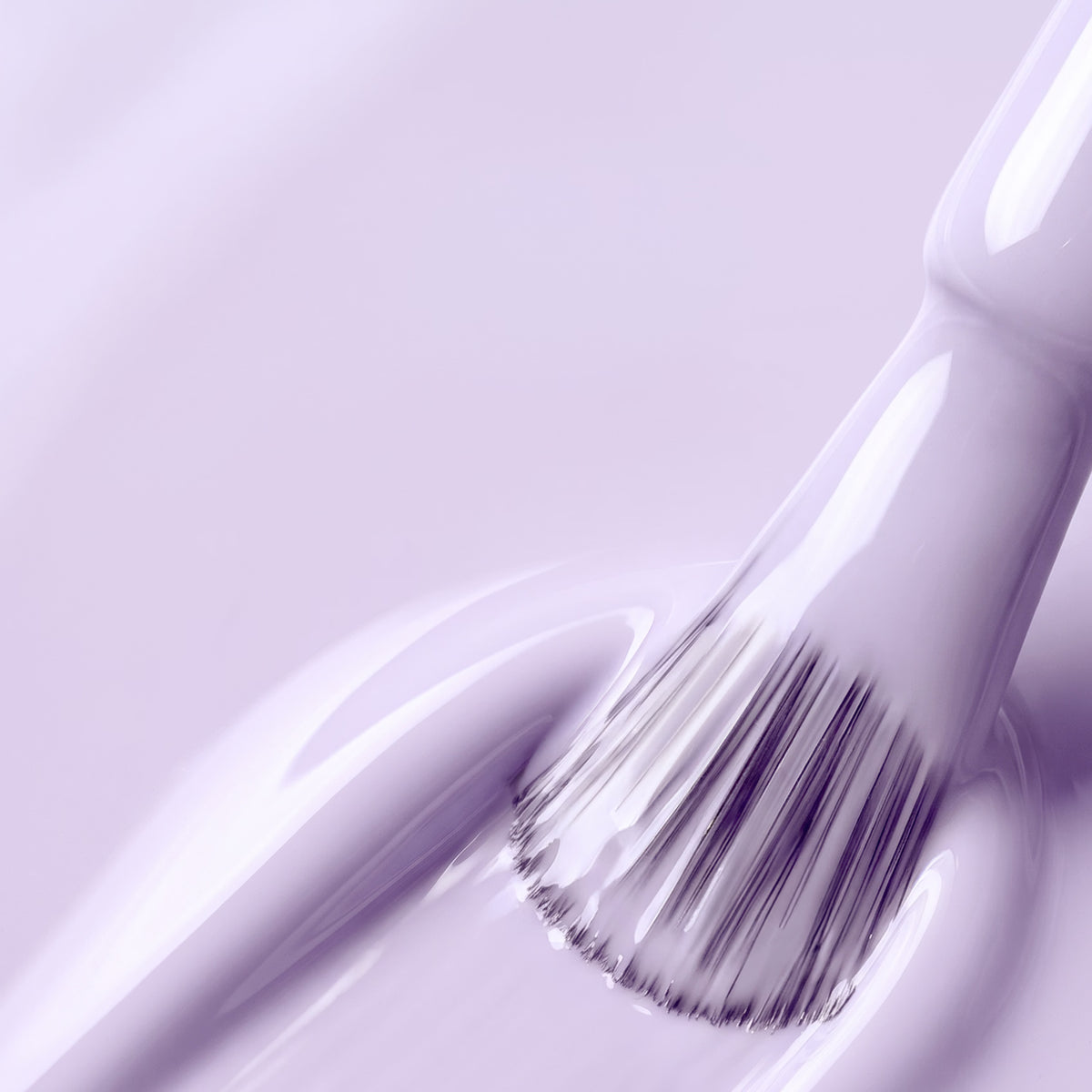 LAVENDER LILT