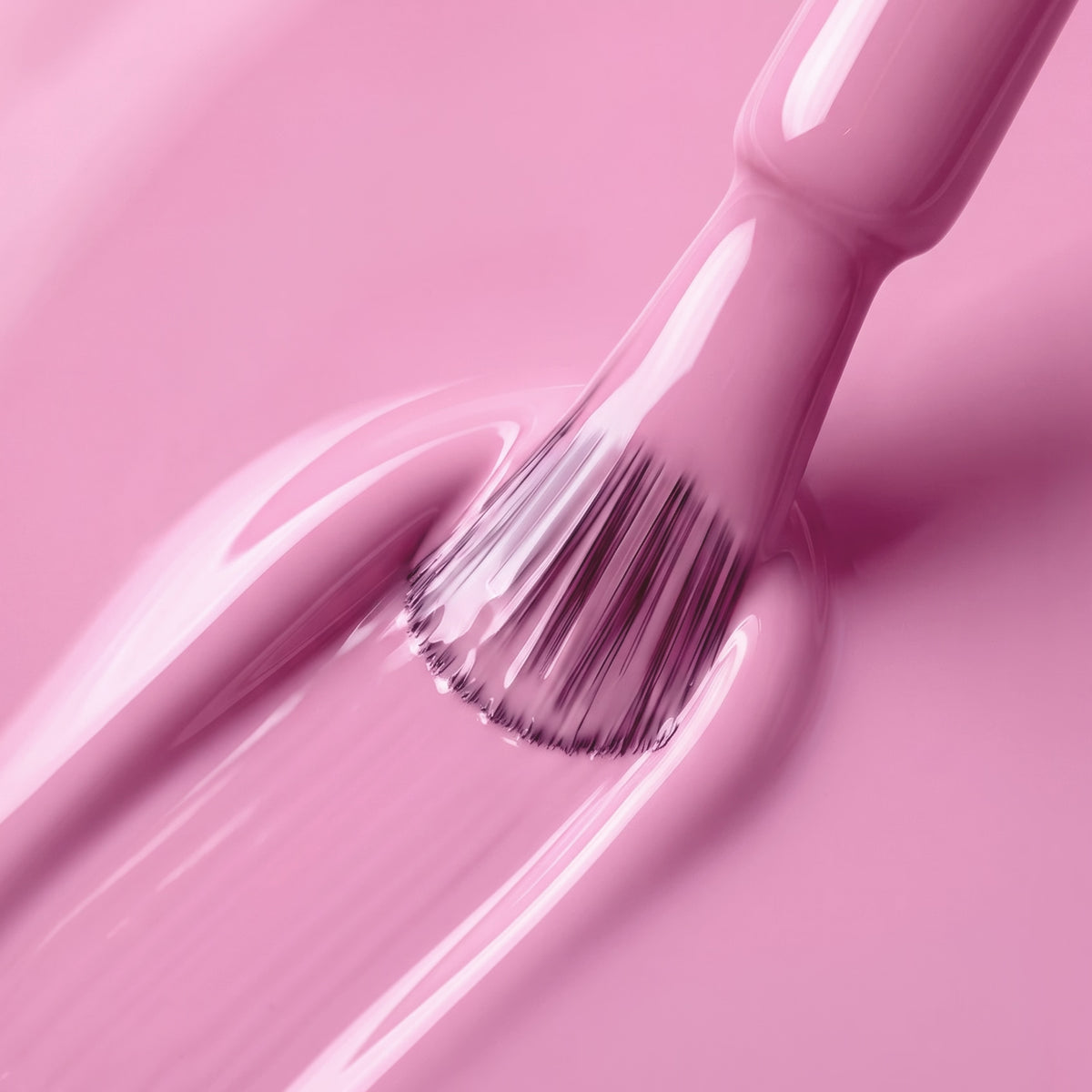 PINK TAFFETA