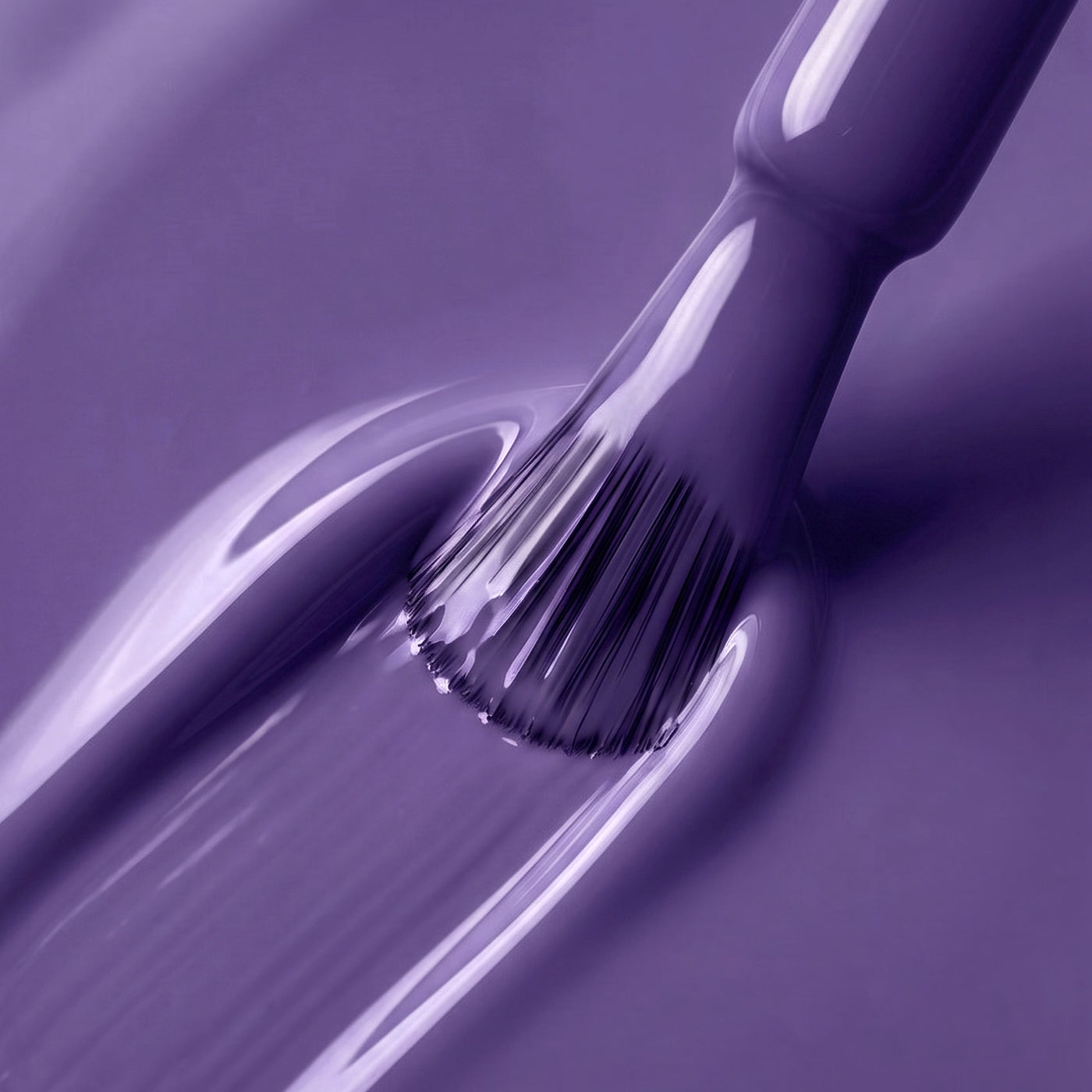 VIOLET HOUR