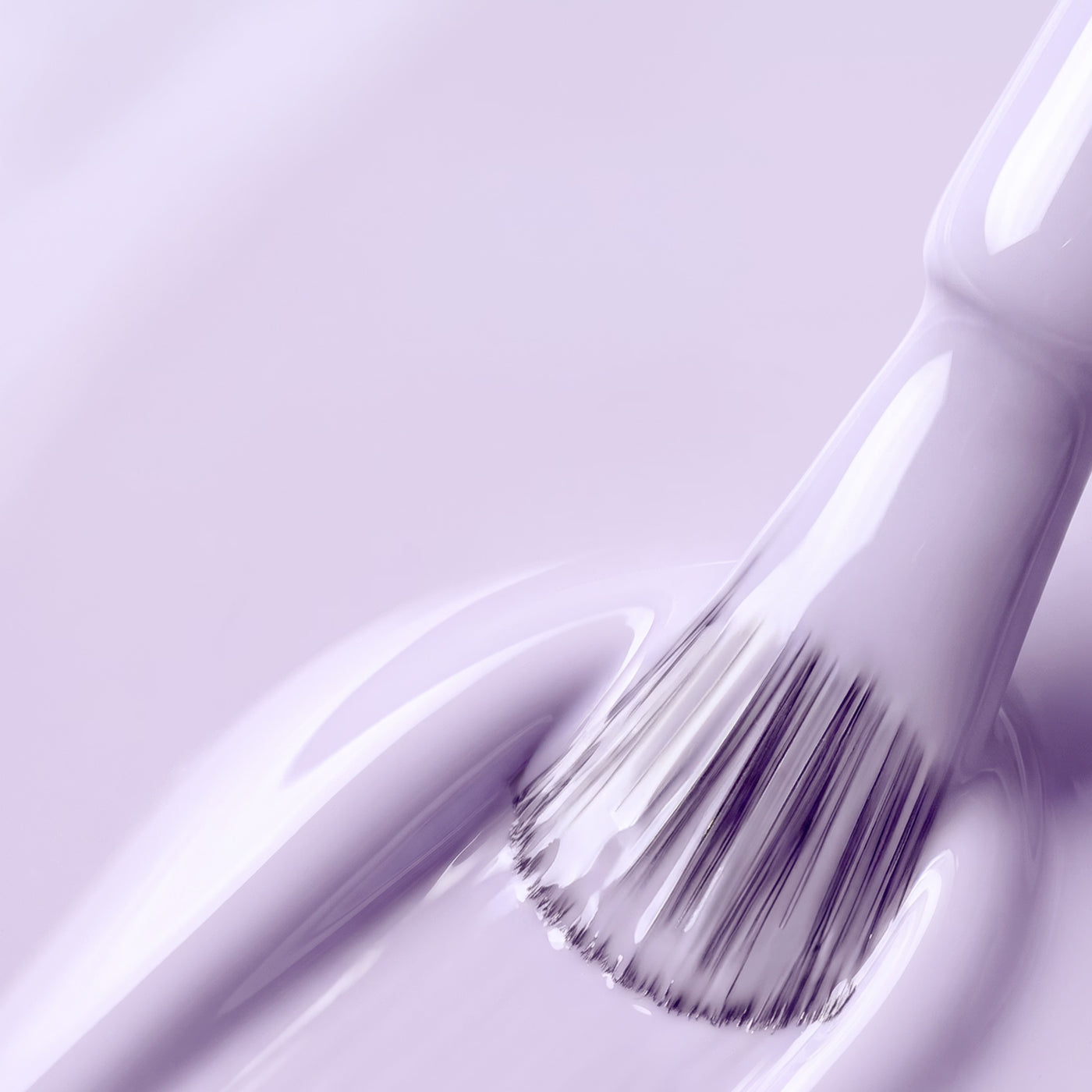 LAVENDER LILT