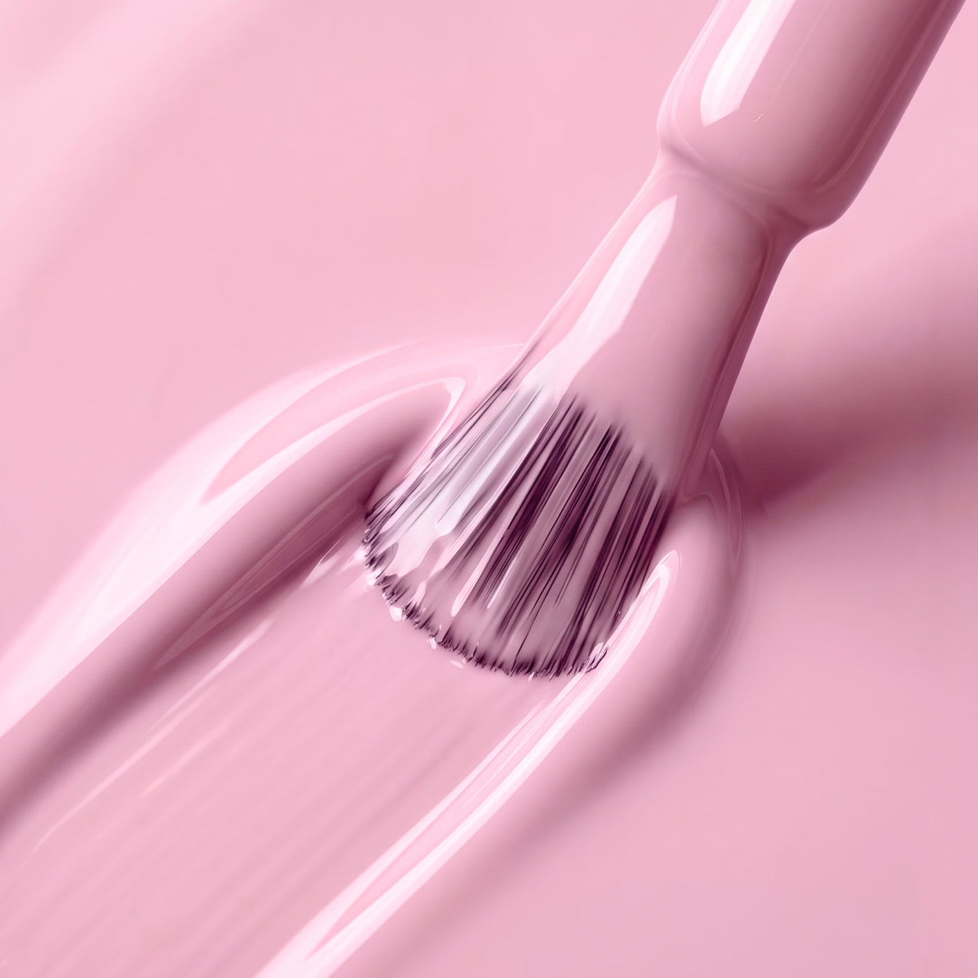 CAMELLIA PETAL