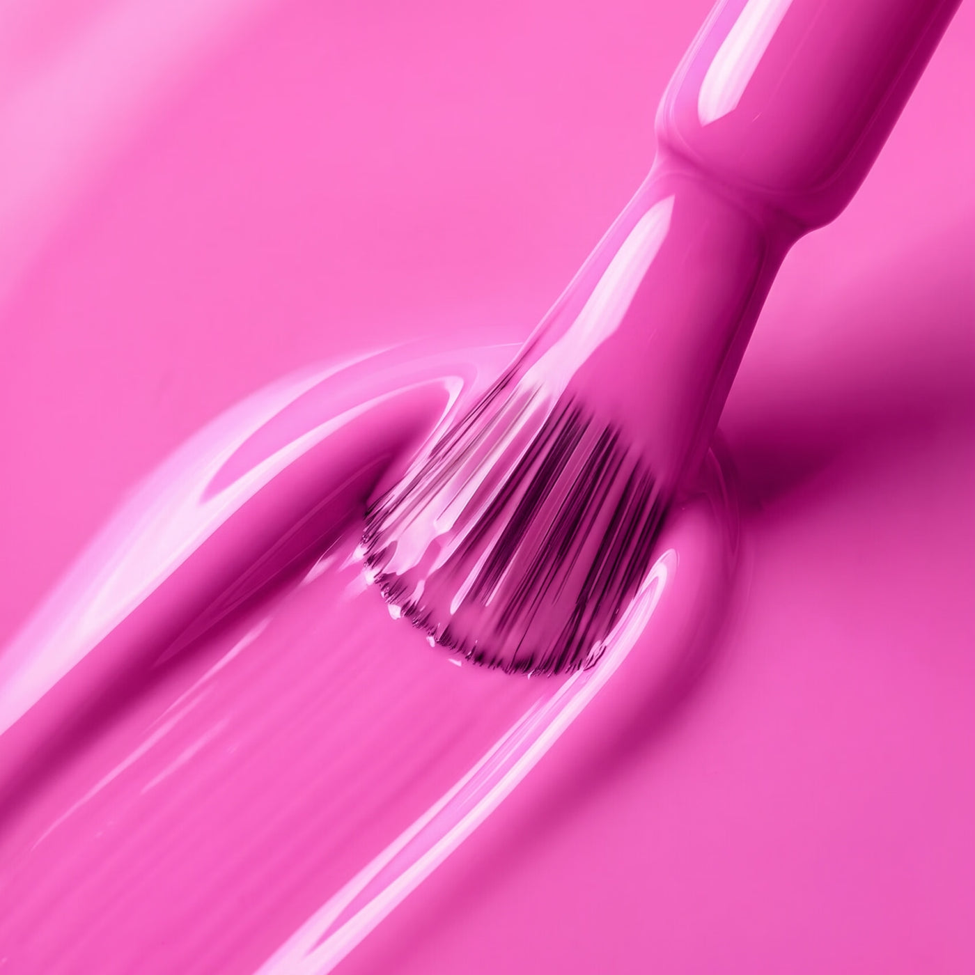 FLAMINGO POP