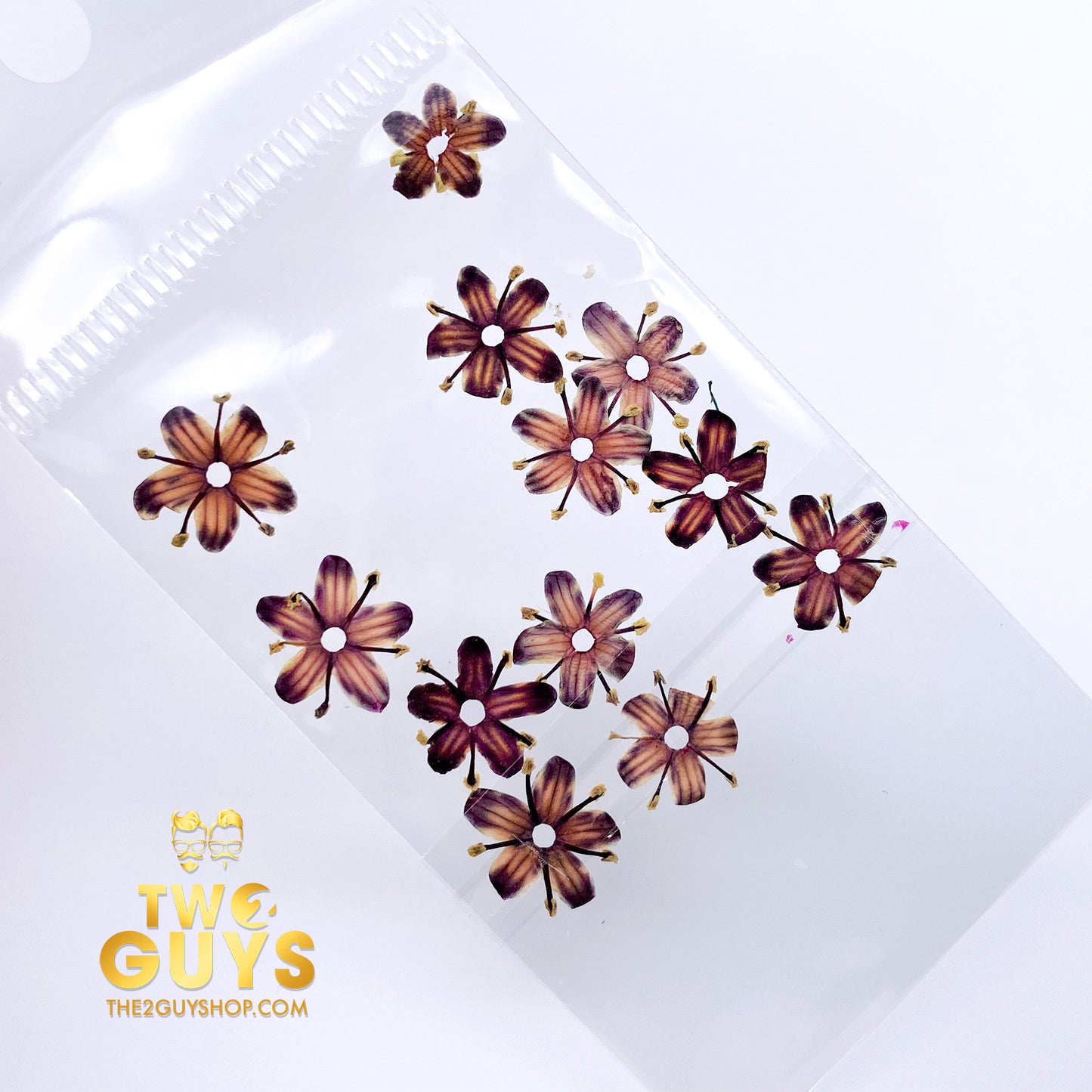 REAL TINY DRIED FLOWERS (20 STYLES)