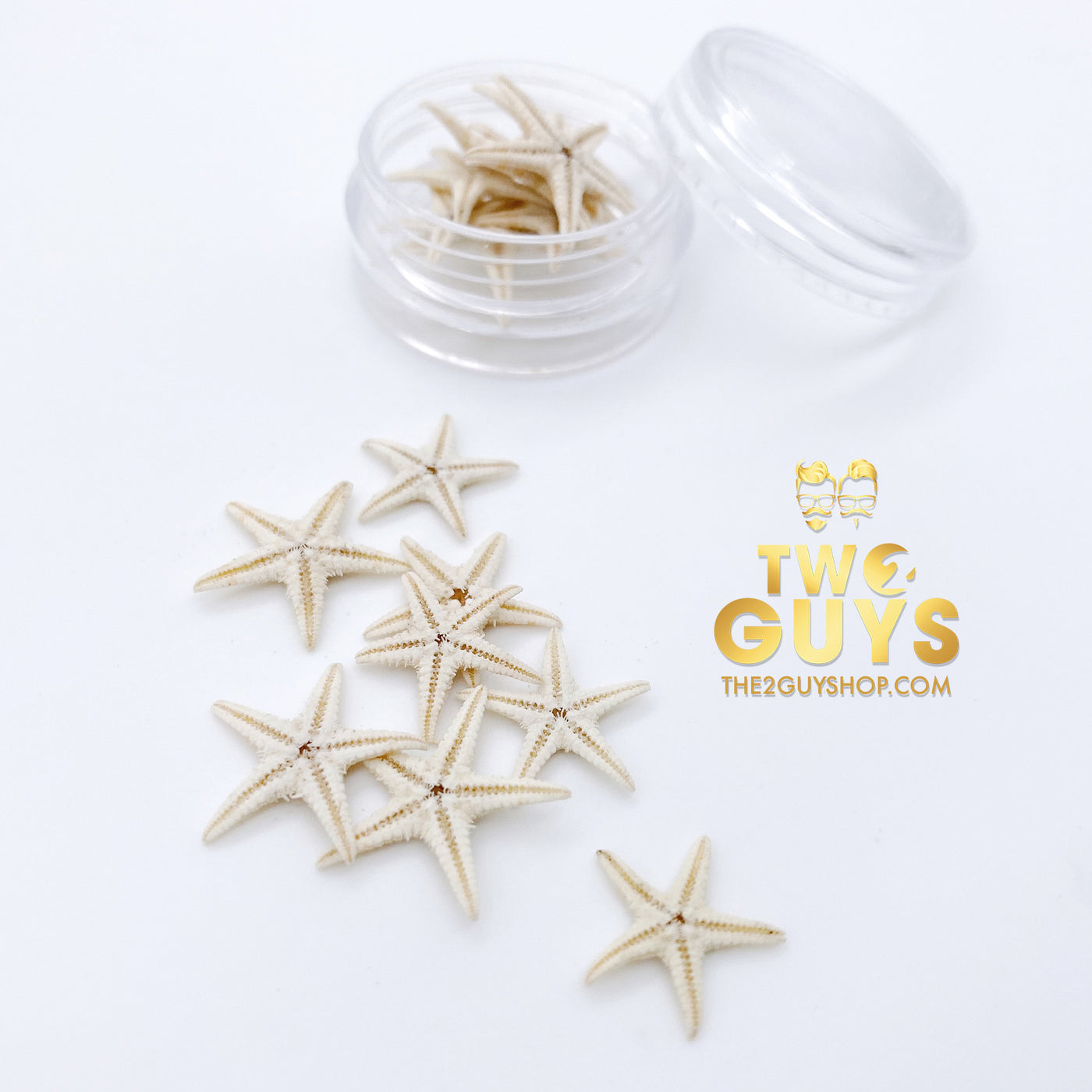 Estrellas de mar reales en miniatura (1 frasco)