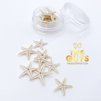 Estrellas de mar reales en miniatura (1 frasco)